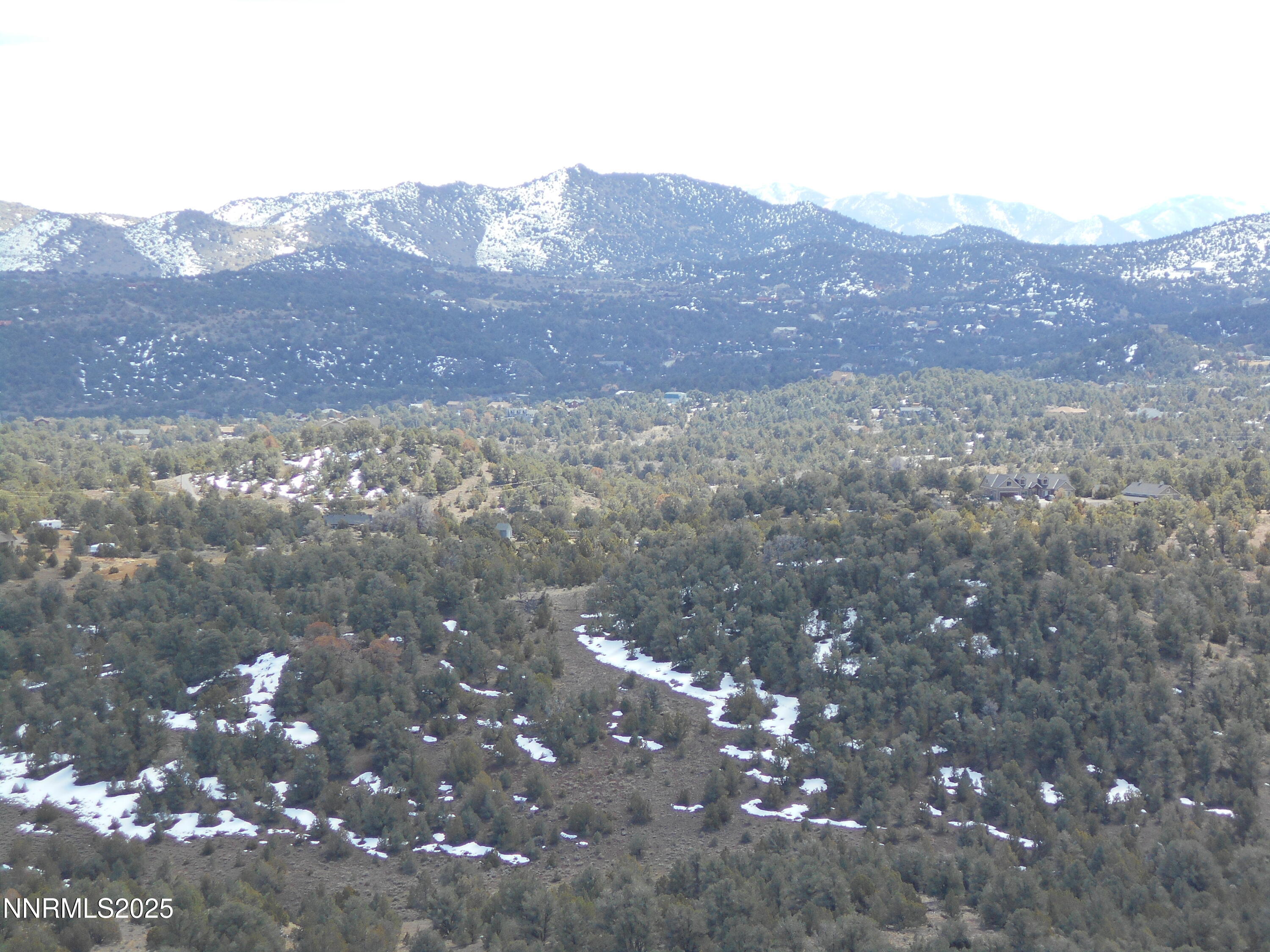 2050 Scorpion Road Reno, NV 89521 - Photo 14 of 22 DSCN0254