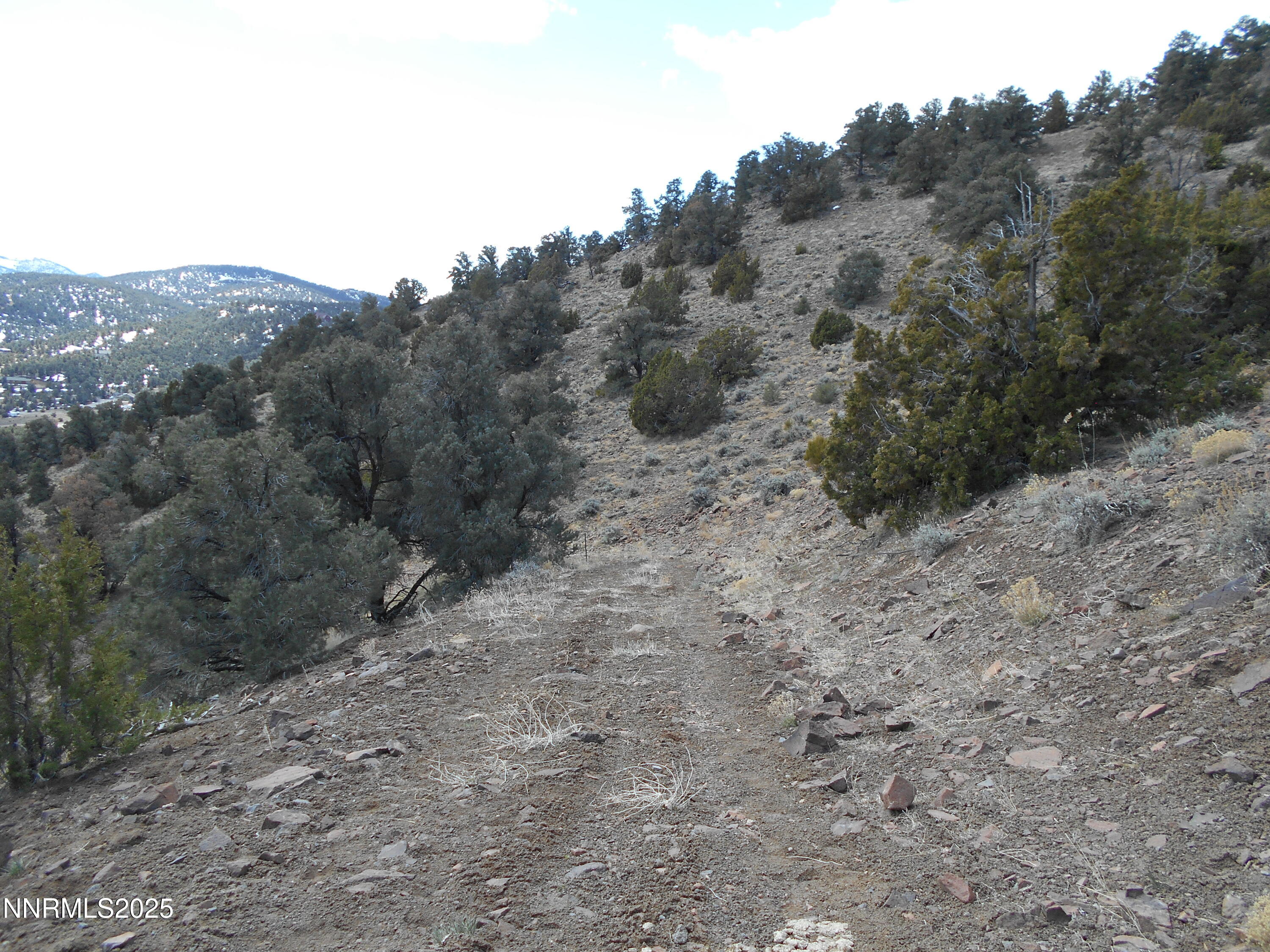 2050 Scorpion Road Reno, NV 89521 - Photo 16 of 22 DSCN0256