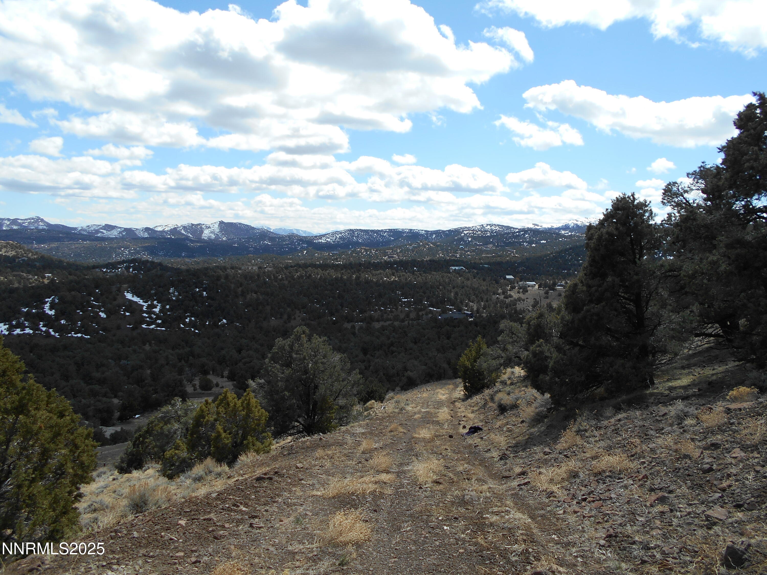 2050 Scorpion Road Reno, NV 89521 - Photo 17 of 22 DSCN0257