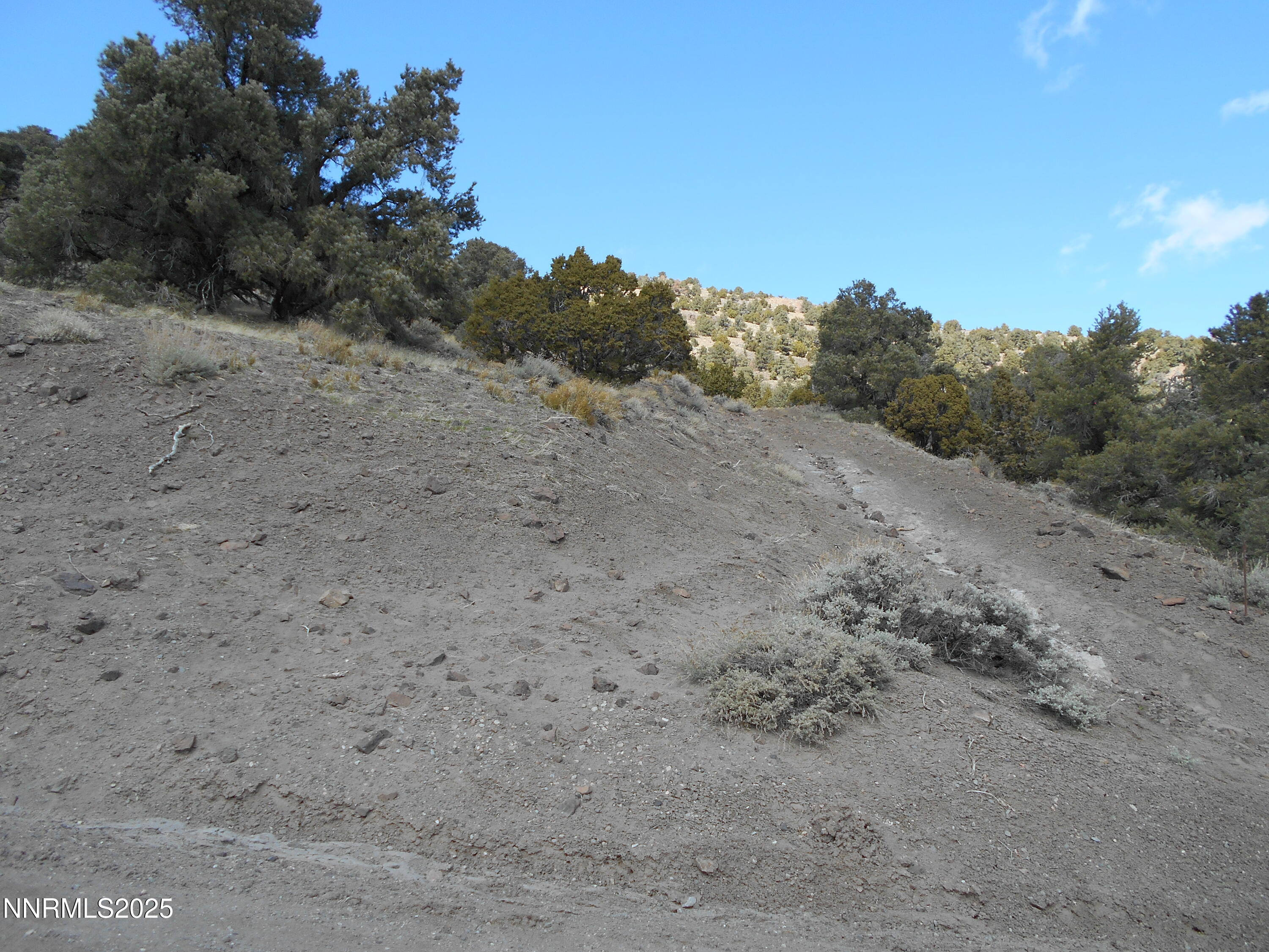 2050 Scorpion Road Reno, NV 89521 - Photo 18 of 22 DSCN0258