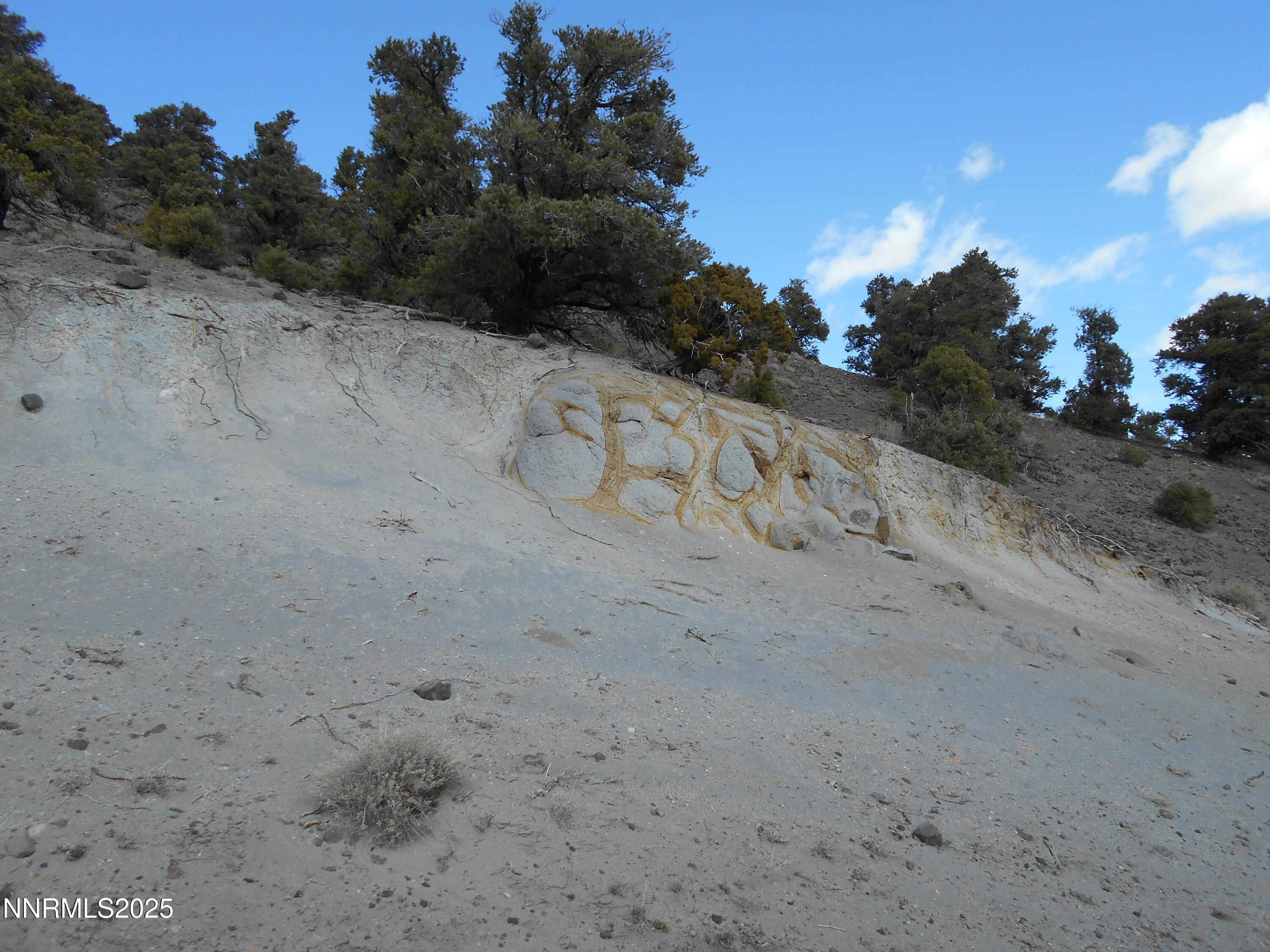 2050 Scorpion Road Reno, NV 89521 - Photo 19 of 22 DSCN0261