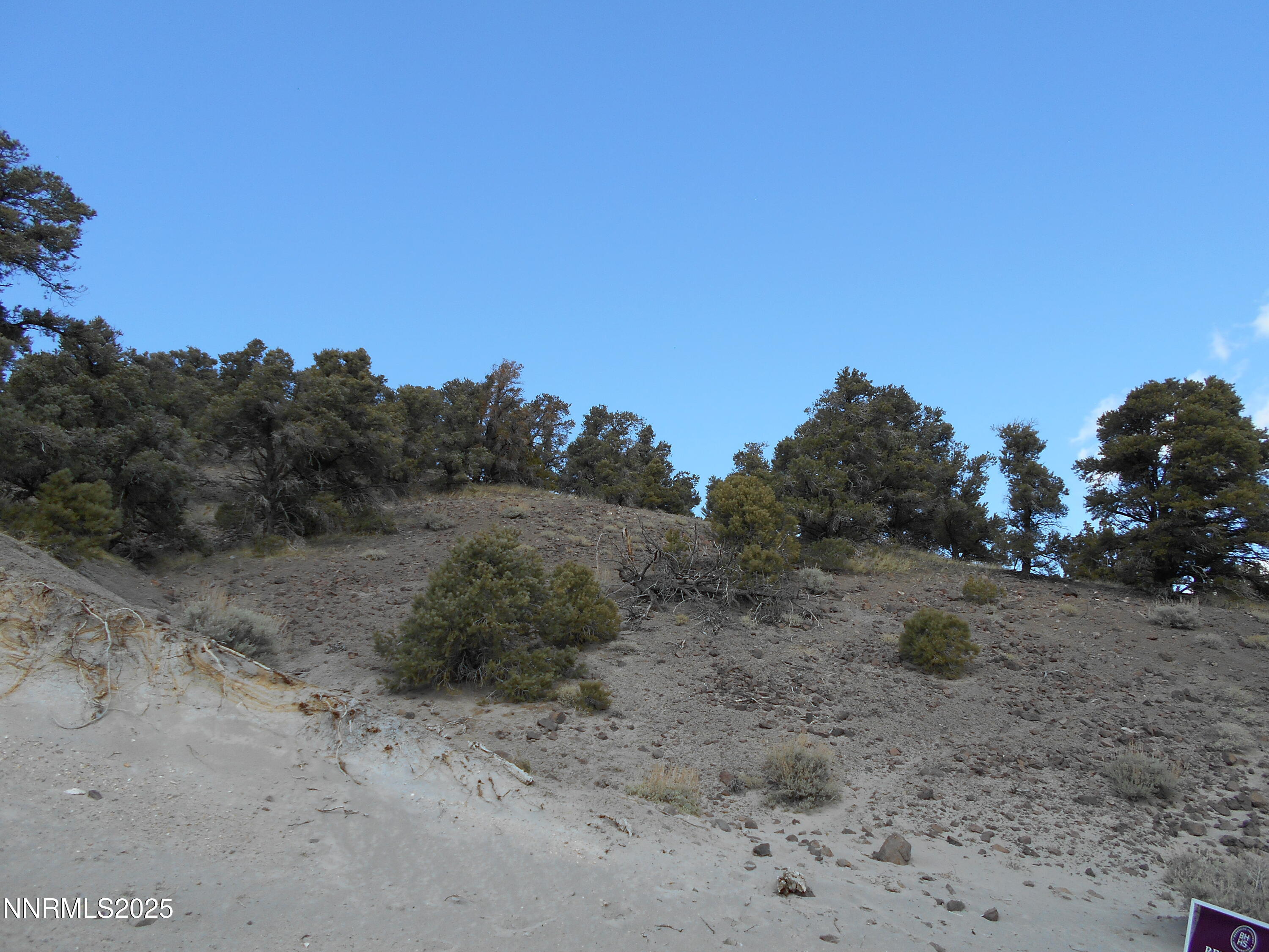 2050 Scorpion Road Reno, NV 89521 - Photo 20 of 22 DSCN0262