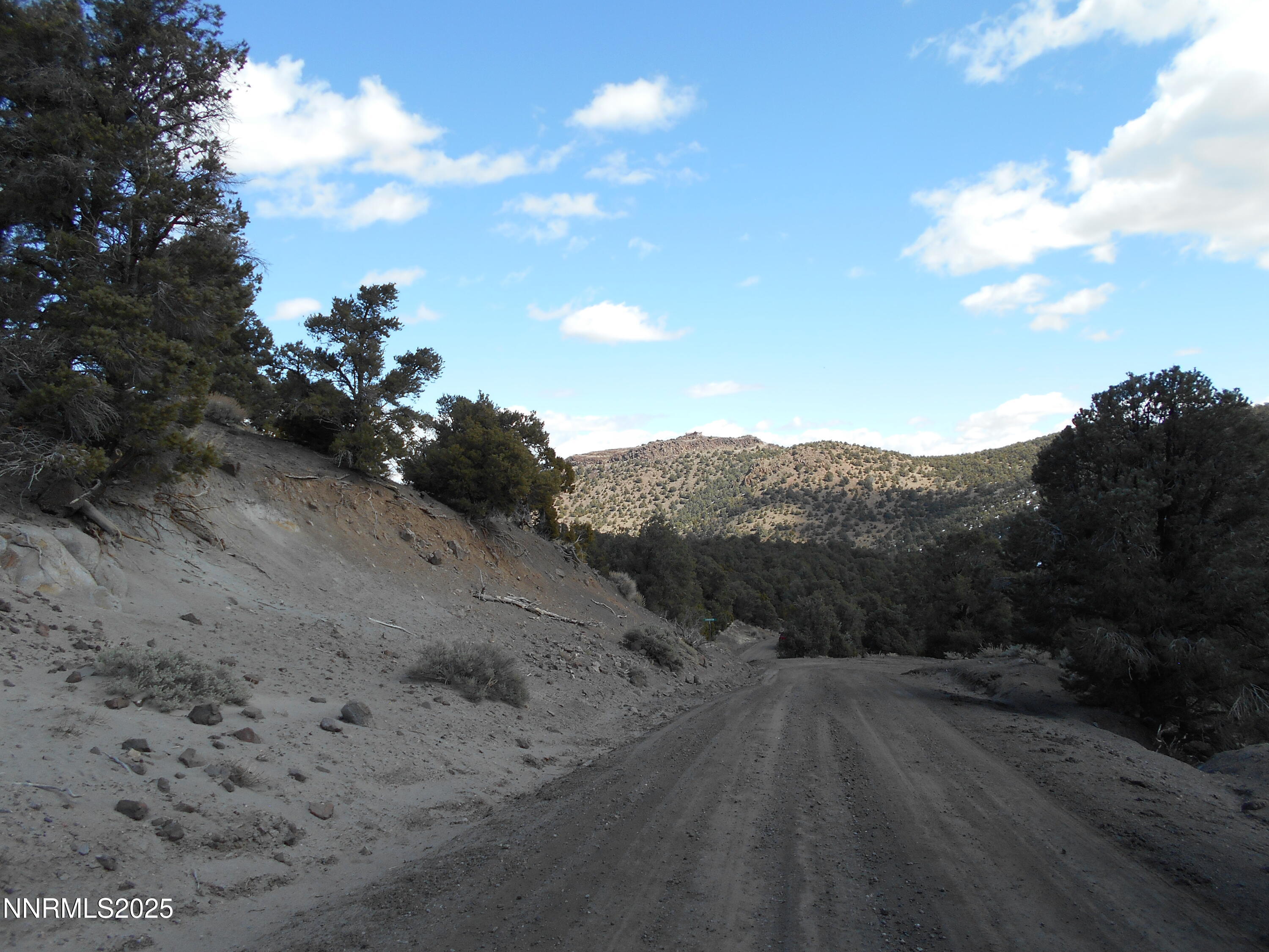 2050 Scorpion Road Reno, NV 89521 - Photo 21 of 22 DSCN0263