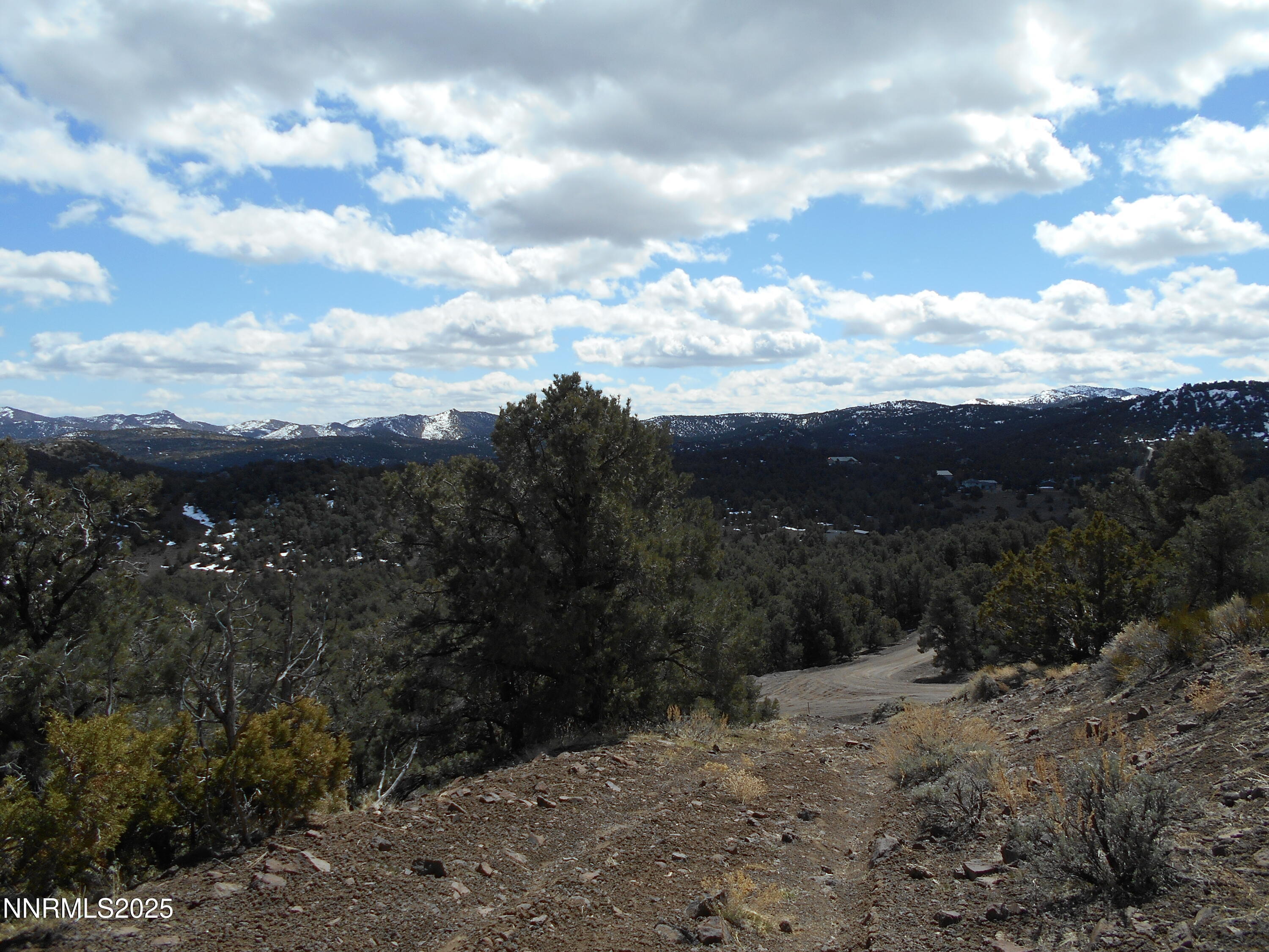 2050 Scorpion Road Reno, NV 89521 - Photo 22 of 22 DSCN0241
