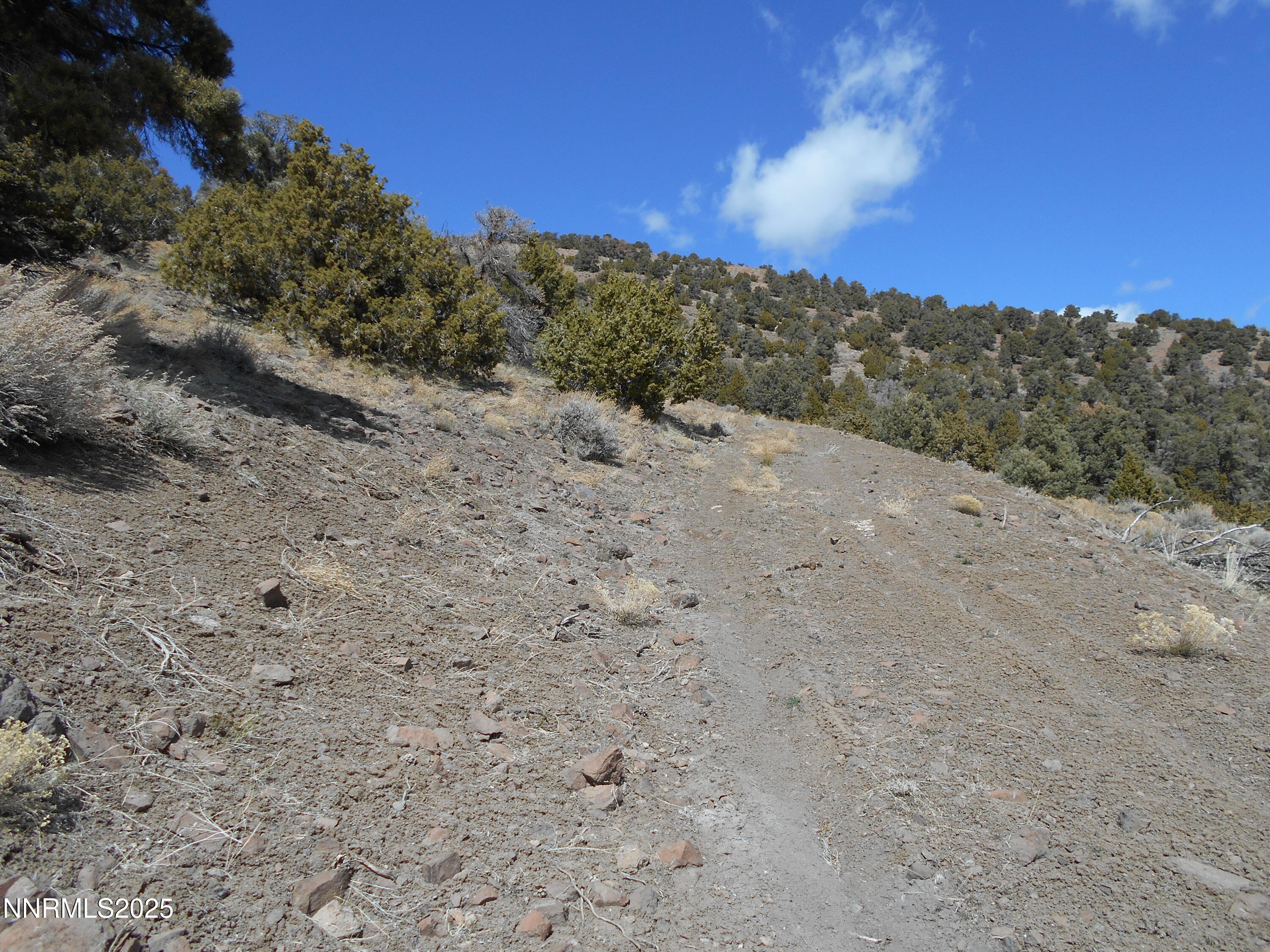 2050 Scorpion Road Reno, NV 89521 - Photo 3 of 22 DSCN0243