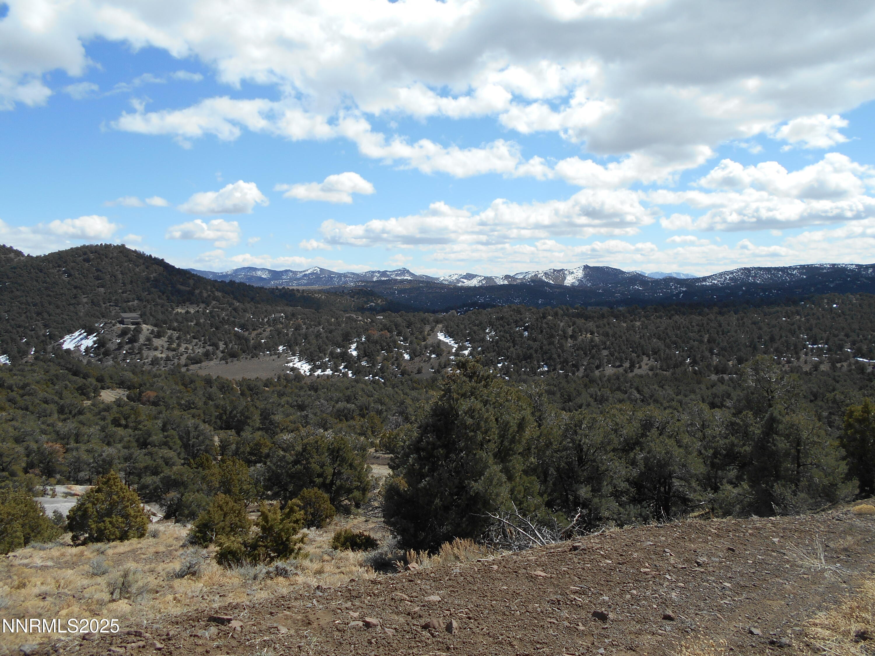 2050 Scorpion Road Reno, NV 89521 - Photo 4 of 22 DSCN0244