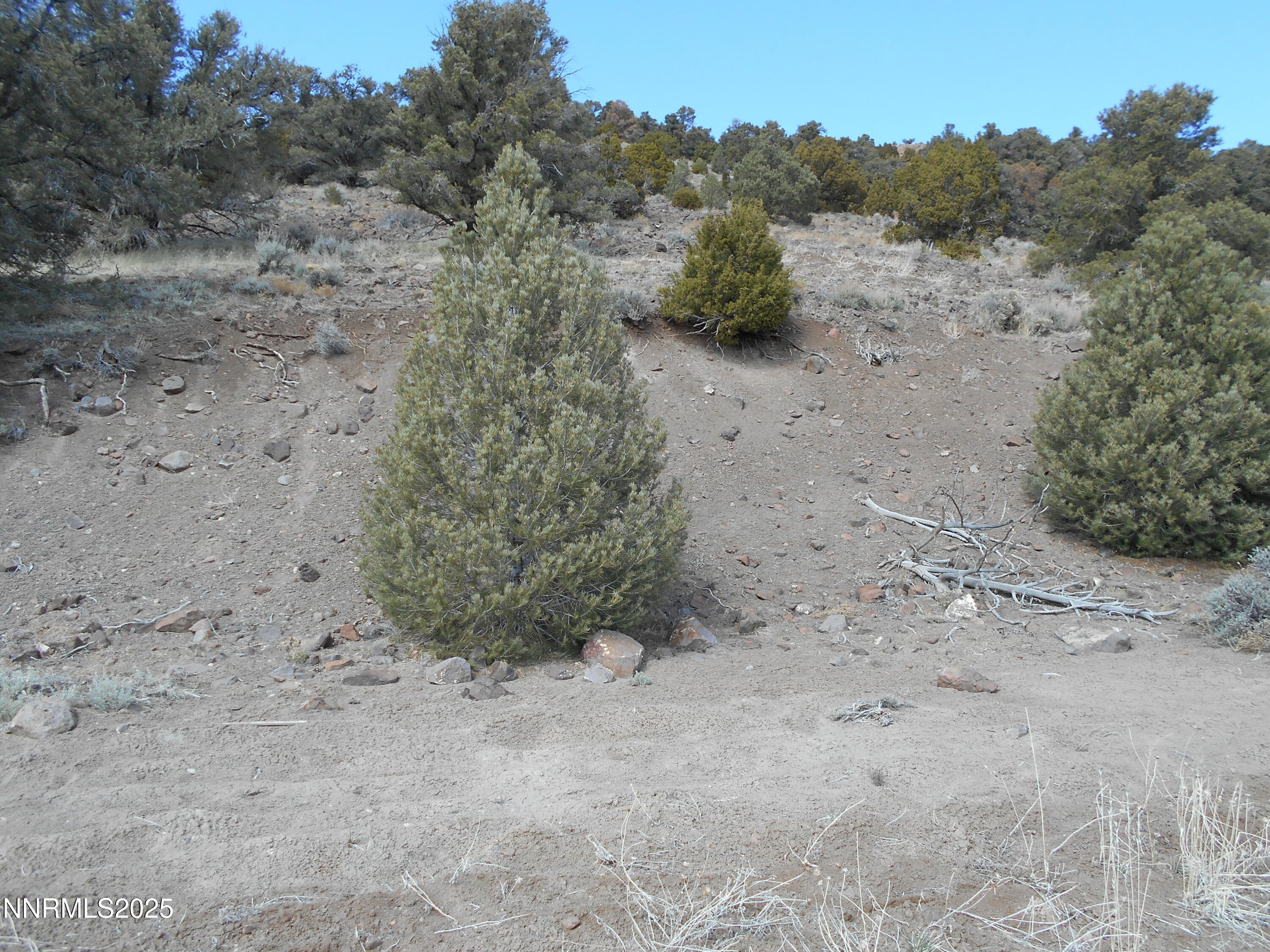 2050 Scorpion Road Reno, NV 89521 - Photo 5 of 22 DSCN0245