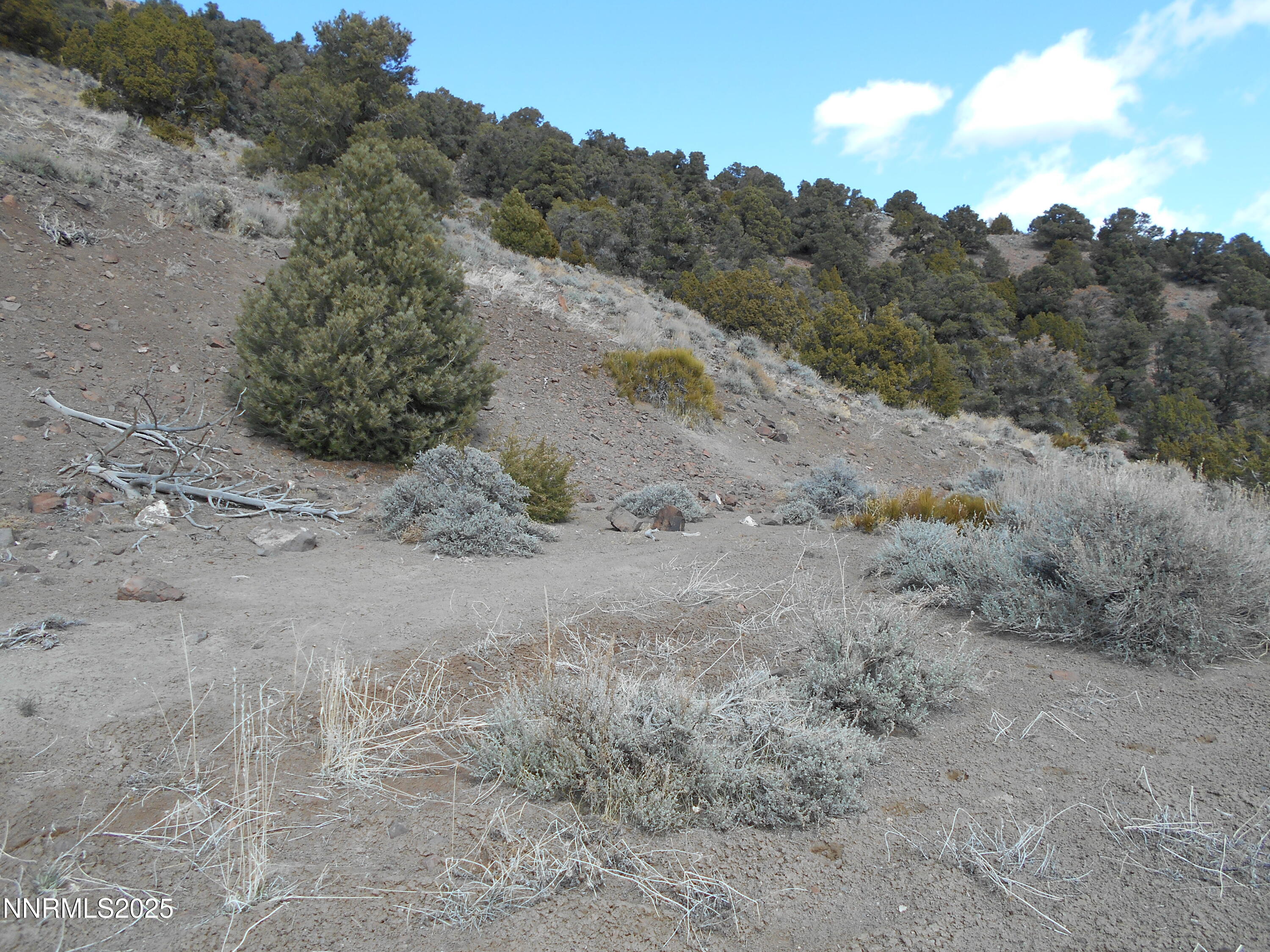 2050 Scorpion Road Reno, NV 89521 - Photo 6 of 22 DSCN0246