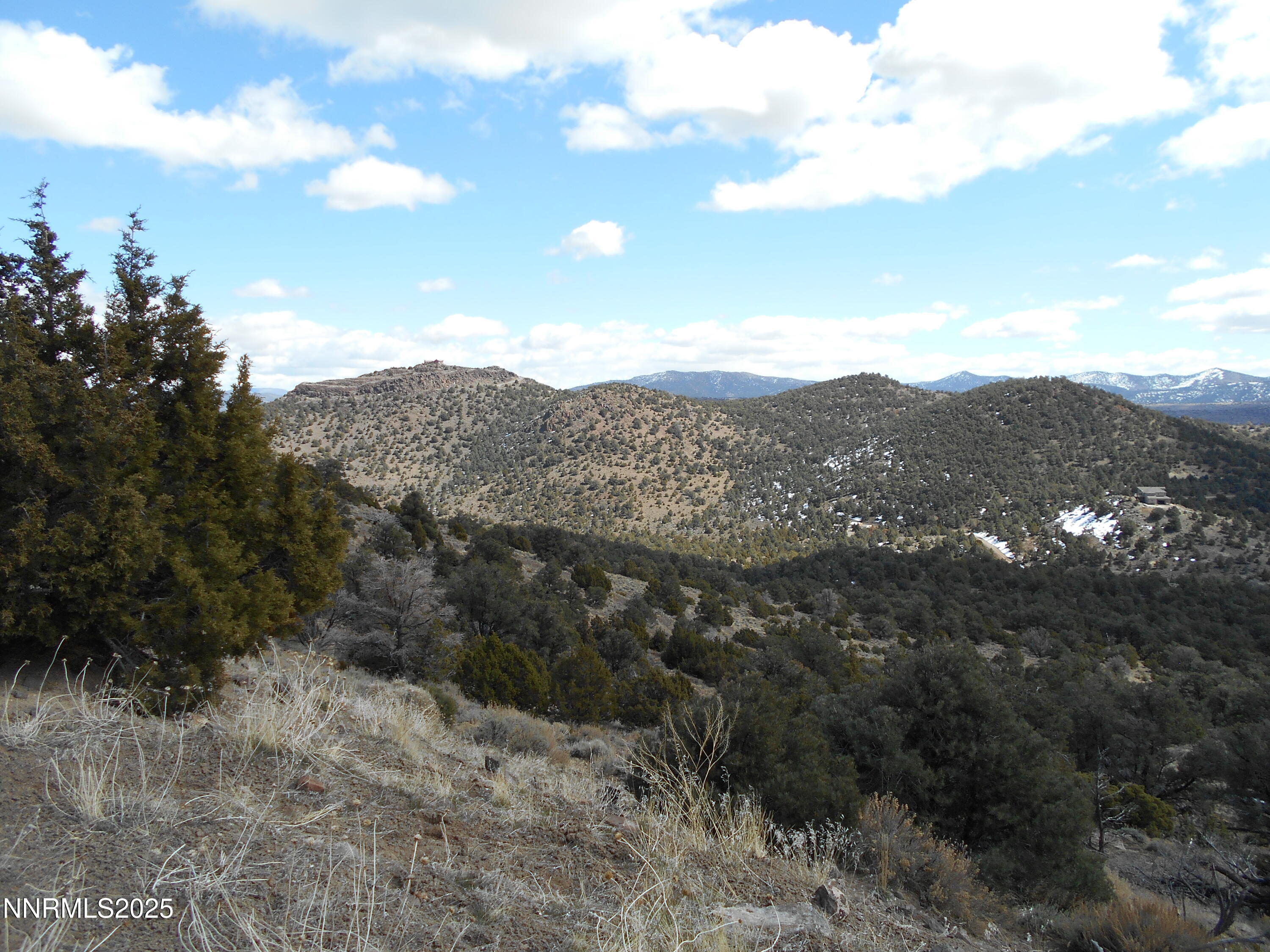 2050 Scorpion Road Reno, NV 89521 - Photo 7 of 22 DSCN0247