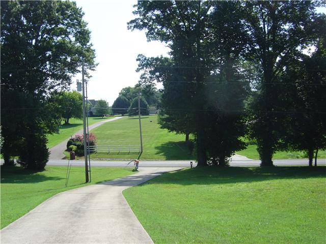955 Rip Steele Road Columbia, TN 38401 - Photo 8 of 14 Concrete drive from street all the way to home...leading into the 2 car garage.