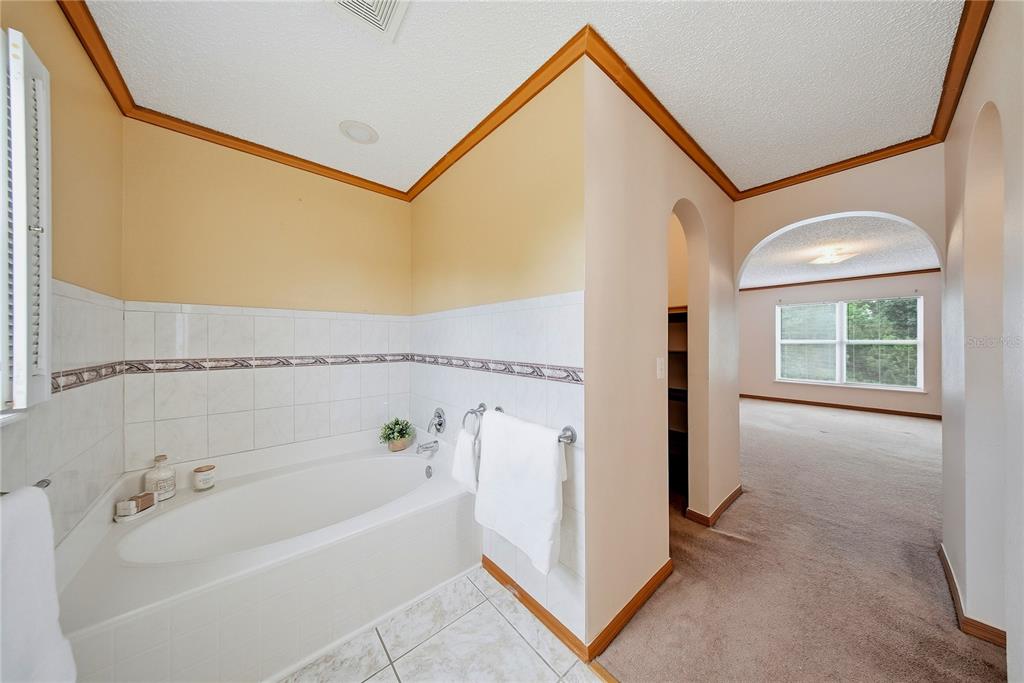 24945 Ravello Street Land O Lakes, FL 34639 - Photo 52 of 58