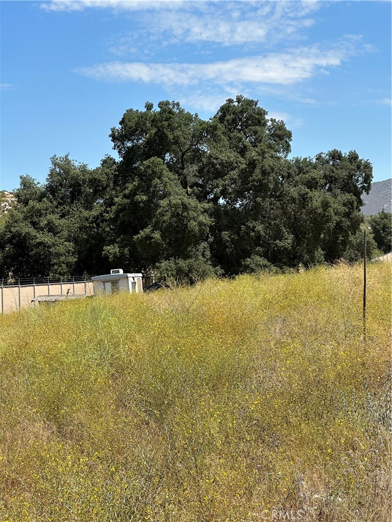 38700 Thomas Road Hemet, CA 92544 - Photo 8 of 30 View of parcel.