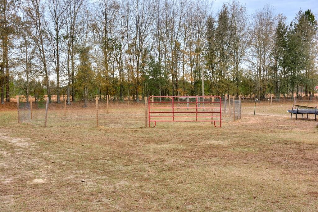 429 Surrey Race Road Salley, SC 29137 - Photo 28 of 30