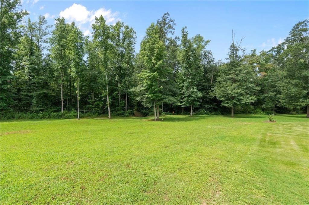 590 W Highway Roopville, GA 30170 - Photo 56 of 63