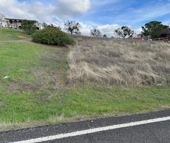 2903 Quail Hill Road Copperopolis, CA 95228 - Photo 5 of 6 a view of a field with an trees
