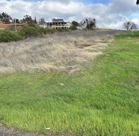 2903 Quail Hill Road Copperopolis, CA 95228 - Photo 6 of 6 a view of a lake with houses in the back