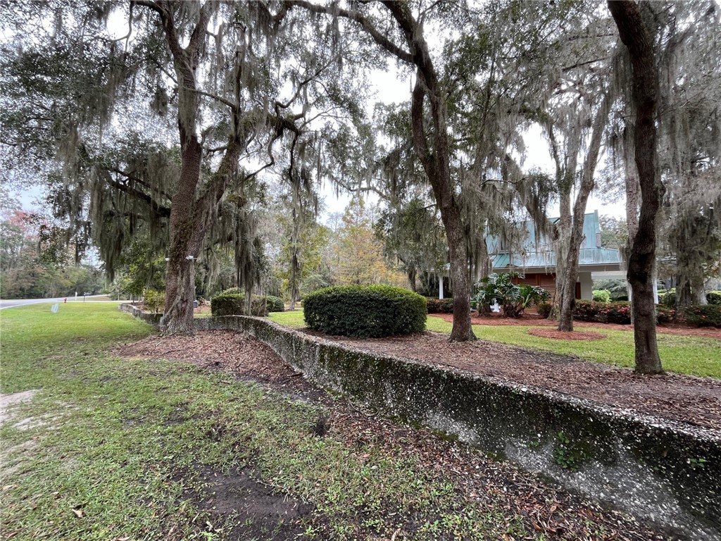 18 Doboy Court Darien, GA 31305 - Photo 12 of 20 Lovely tabby well welcomes you home.