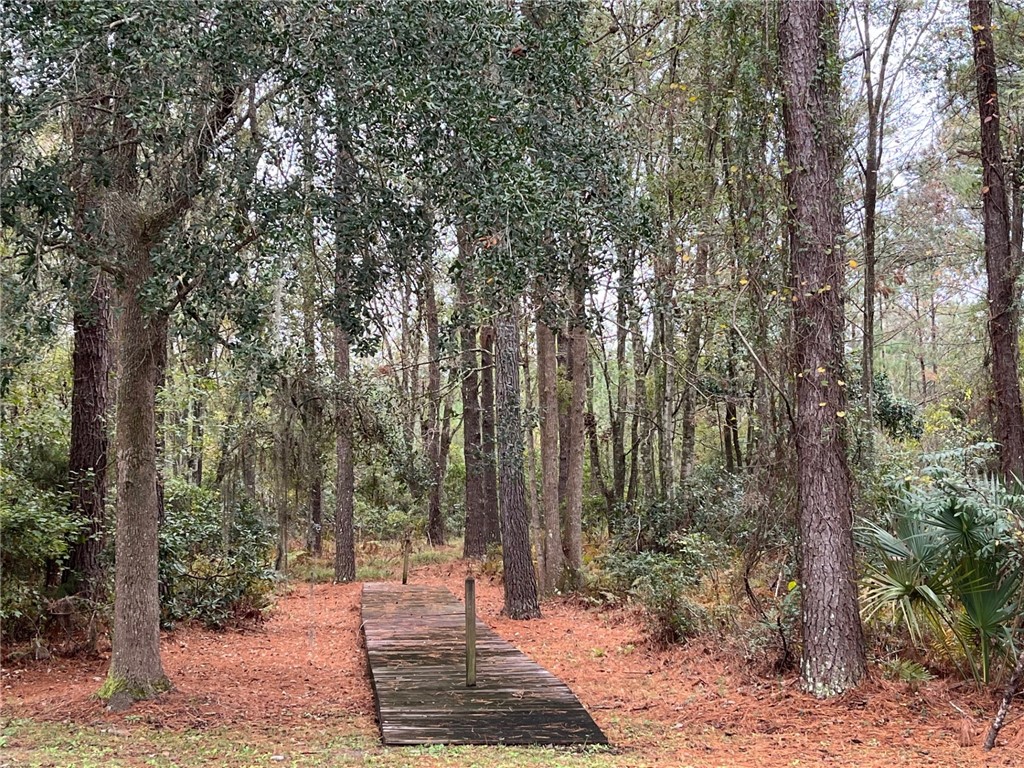 18 Doboy Court Darien, GA 31305 - Photo 16 of 20 Nature trails.