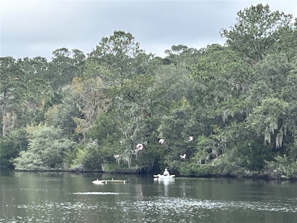 18 Doboy Court Darien, GA 31305 - Photo 18 of 20 So beautiful and peaceful!