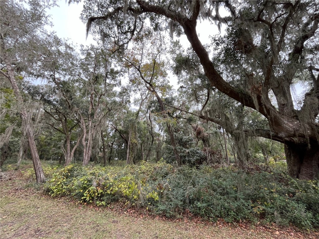 18 Doboy Court Darien, GA 31305 - Photo 2 of 20 Beautiful homesite with Live Oak trees.