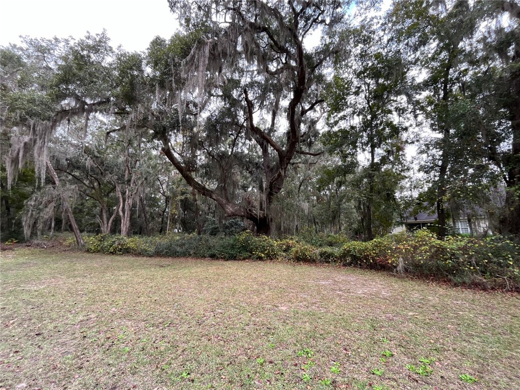 18 Doboy Court Darien, GA 31305 - Photo 3 of 20