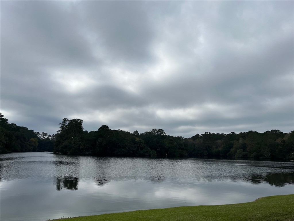 18 Doboy Court Darien, GA 31305 - Photo 8 of 20 Pond with great fishing!