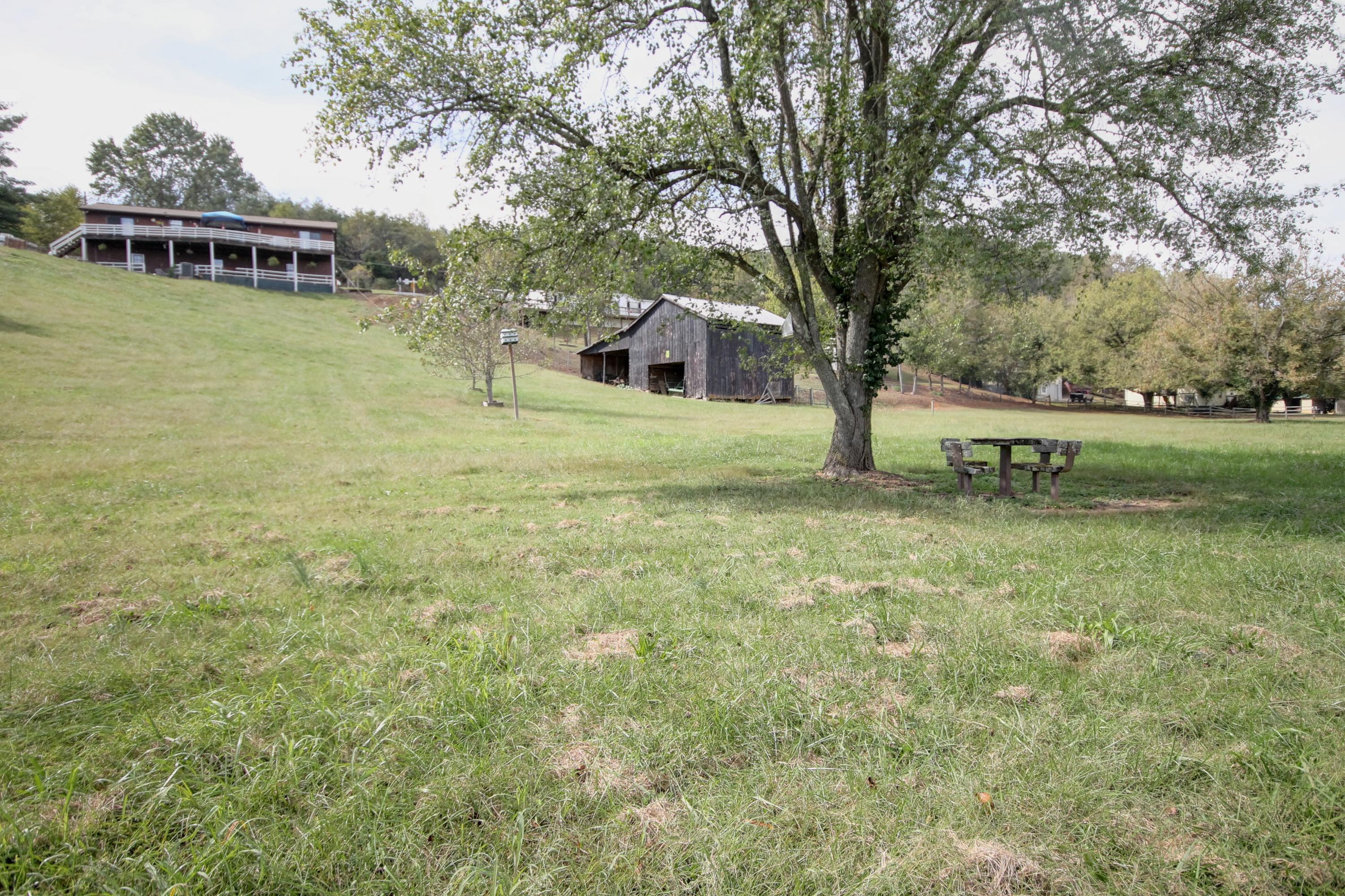 2922 Grove Road Mascot, TN 37806 - Photo 8 of 38 IMG_2679_80_81