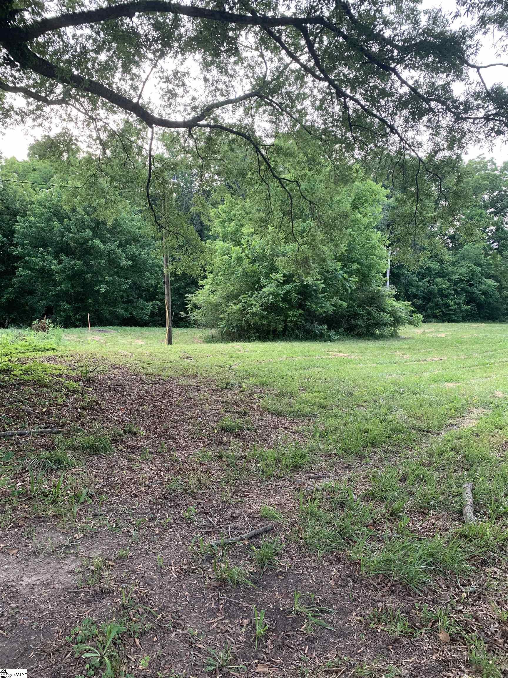 0 East Hampton Avenue Laurens, SC 29360 - Photo 3 of 7