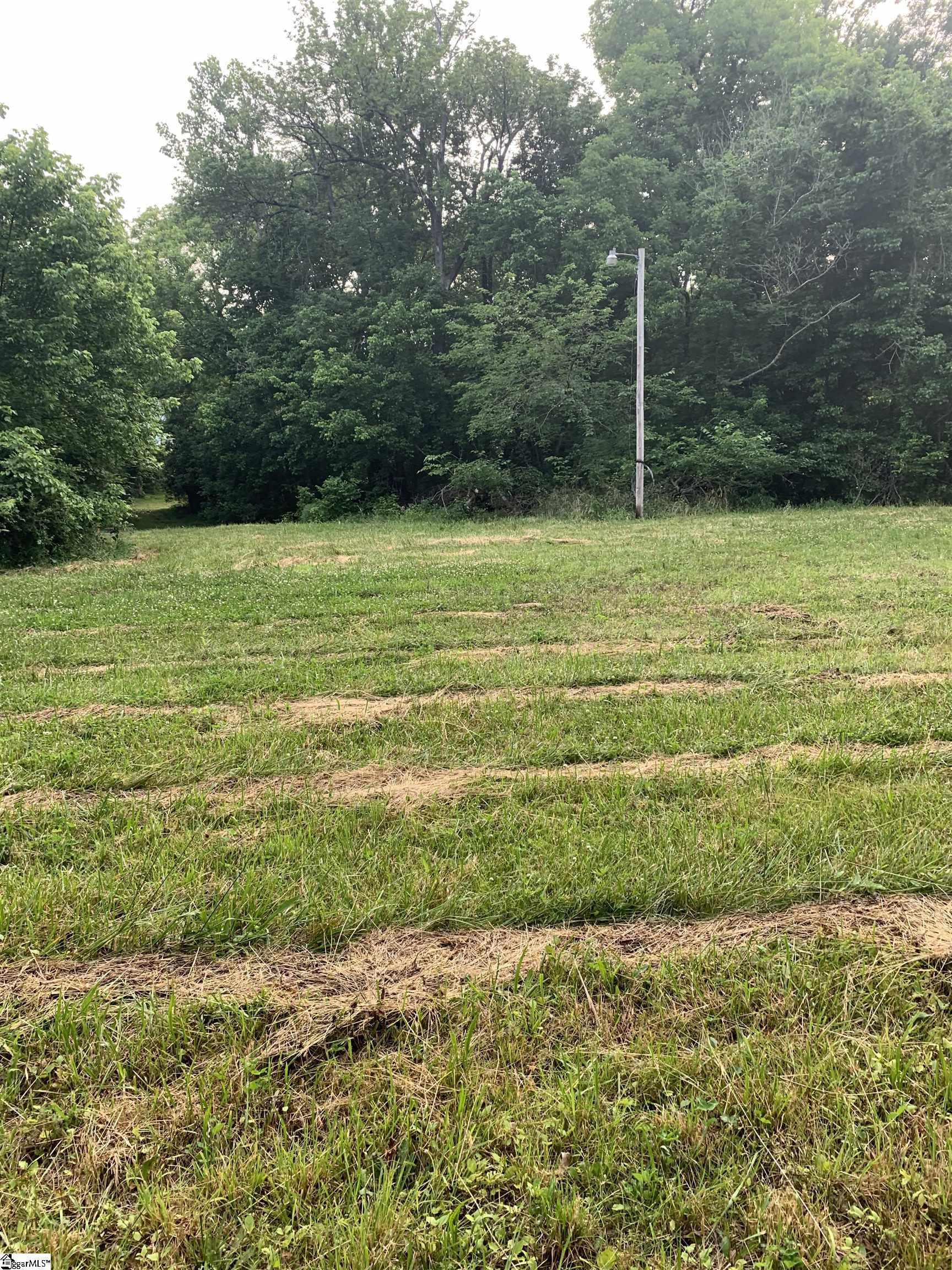 0 East Hampton Avenue Laurens, SC 29360 - Photo 4 of 7