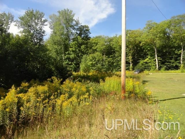 Tbd Autrain Forest Lake Road Au Train, MI 49806 - Photo 5 of 5 Gallery Image 5