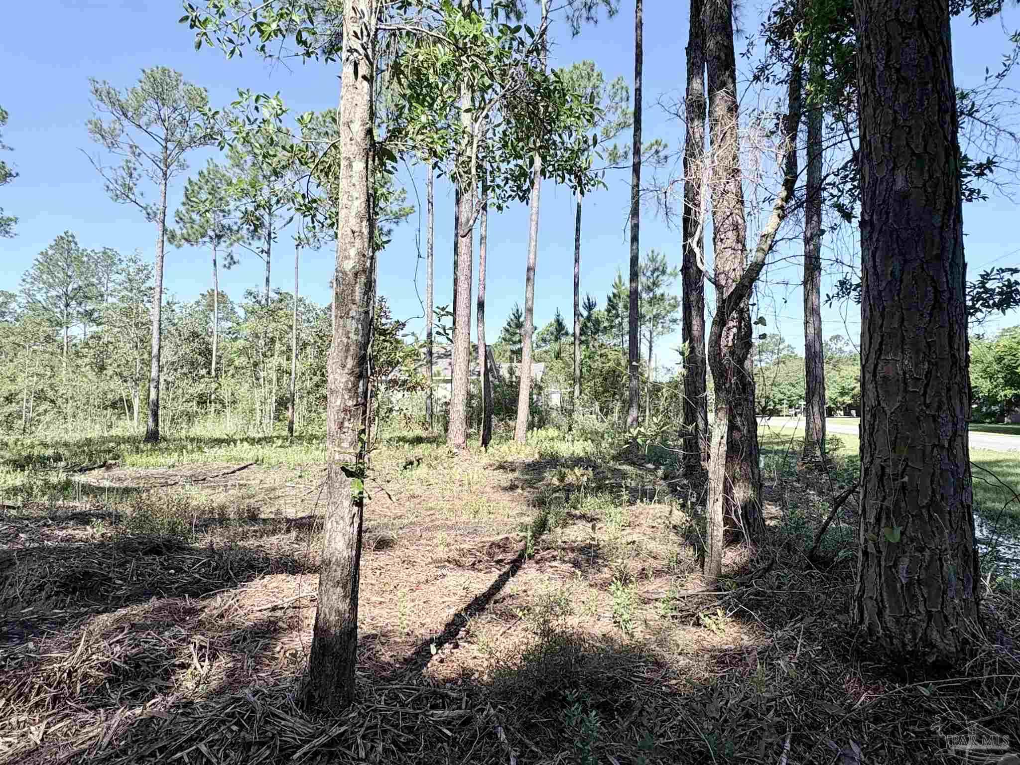 Del Monte Street Milton, FL 32583 - Photo 7 of 18