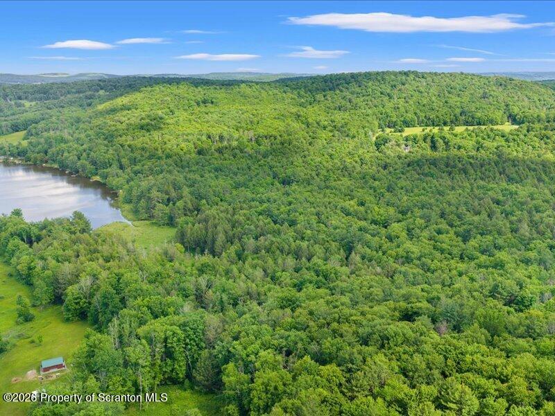 Stanley Lake Road Friendsville, PA 18818 - Photo 14 of 15 17-DJI_20260618042025_0160_D