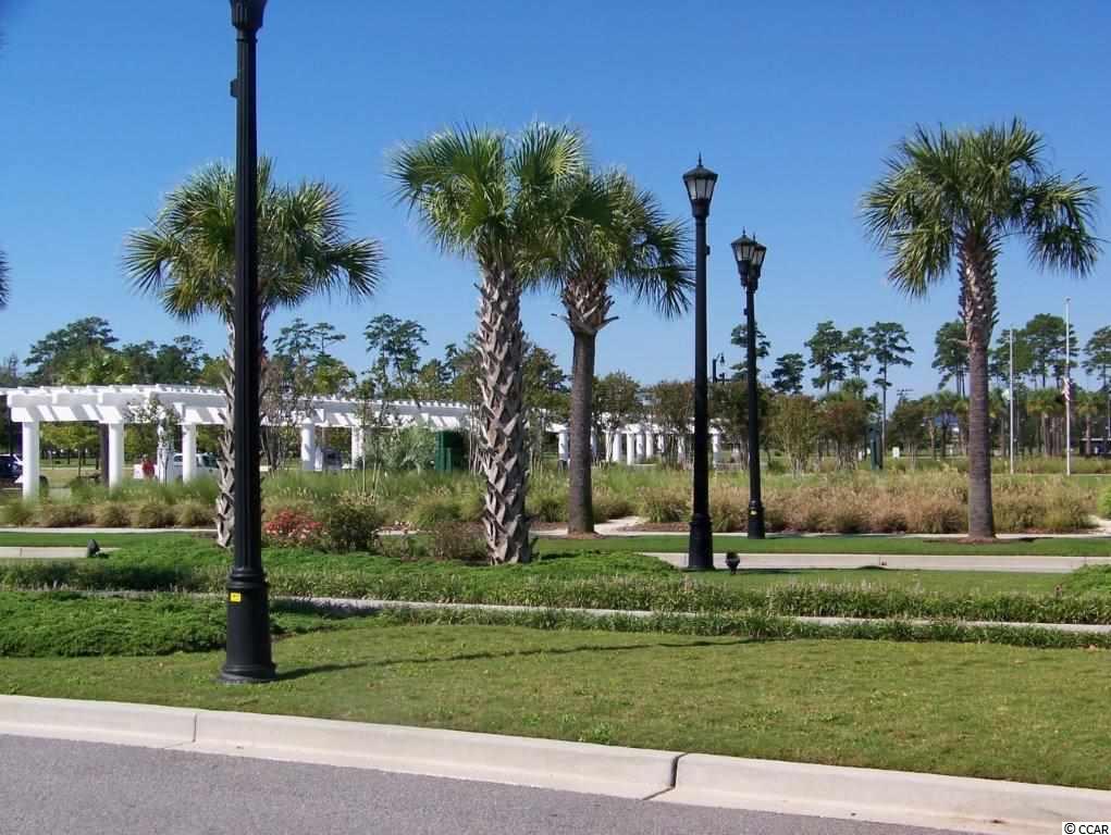 461 Pennington Loop Myrtle Beach, SC 29588 - Photo 39 of 40