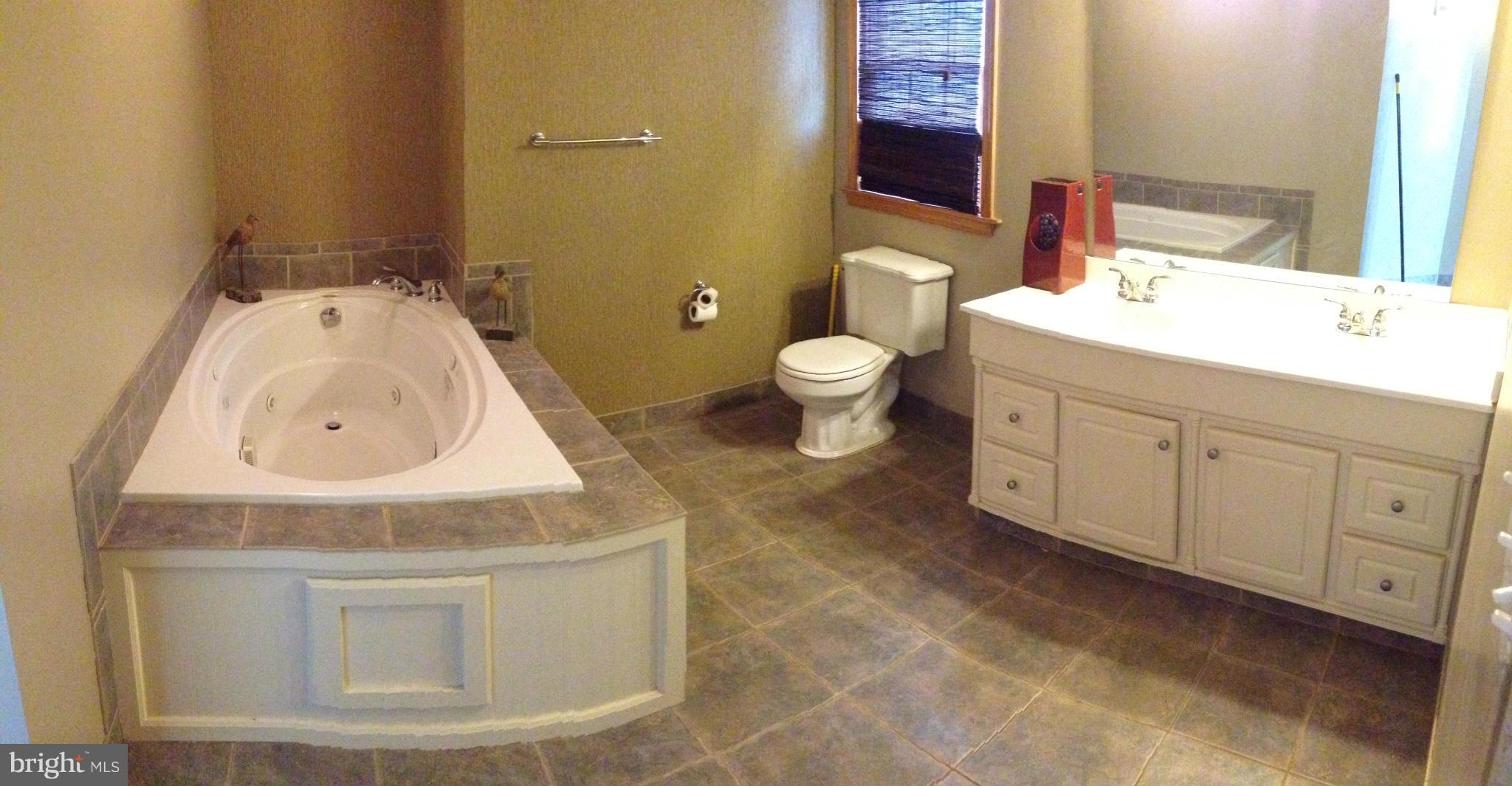 25223 Military Road Cascade, MD 21719 - Photo 23 of 30 Bath (Master)
