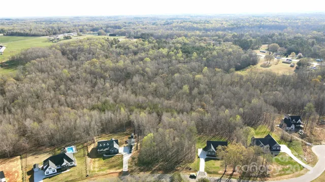 a view of a city with lush green forest