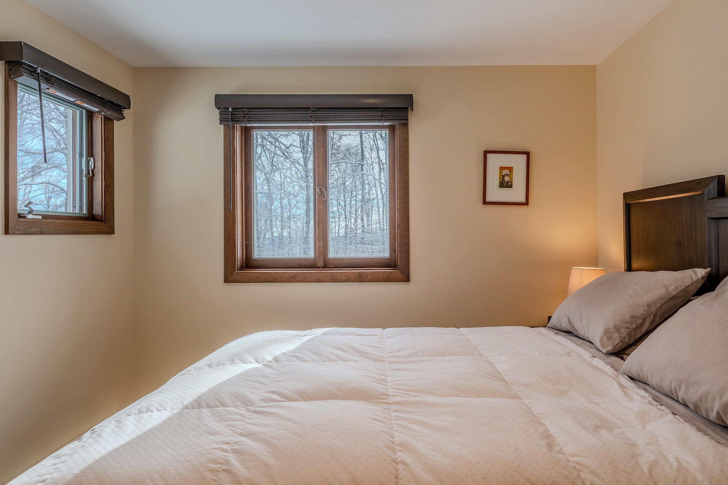 8 Silver Birch Road, Unit 8 Winhall, VT 05340 - Photo 22 of 32