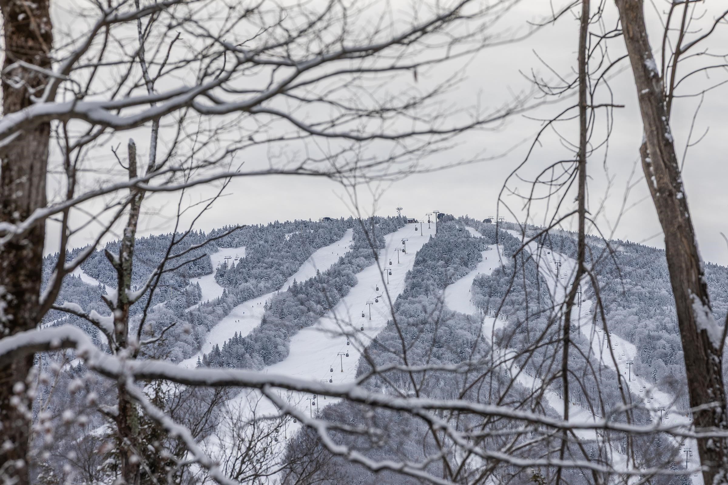 8 Silver Birch Road, Unit 8 Winhall, VT 05340 - Photo 28 of 32