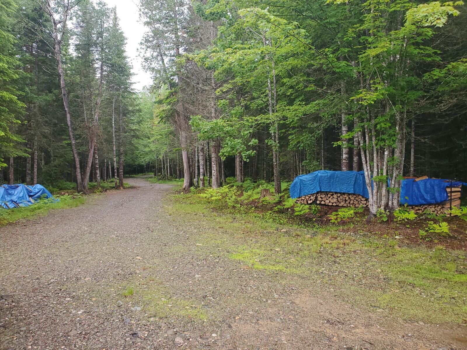 85 Mattakeunk Road Winn, ME 04495 - Photo 7 of 14 20220617_175743