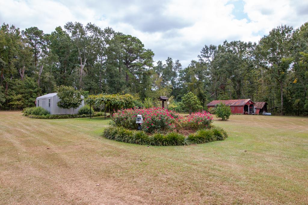 1154 Hunter Road Columbia, AL 36319 - Photo 27 of 38
