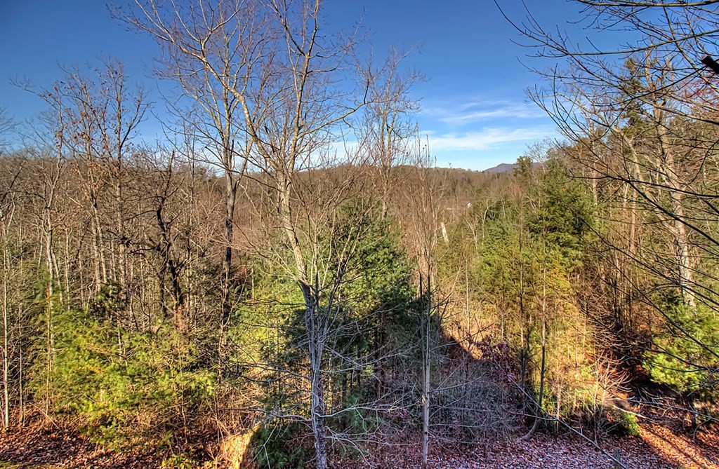 696 Balls Hollow Road East, Unit 698EBALLSHOLLOWRD Cosby, TN 37722 - Photo 2 of 49 Gallery Image 2