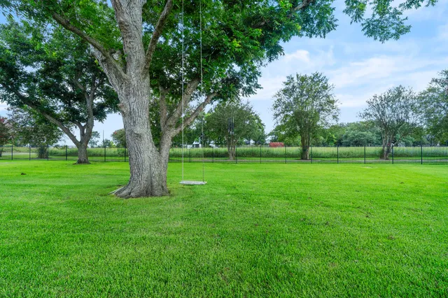 a view of grassy field with benches