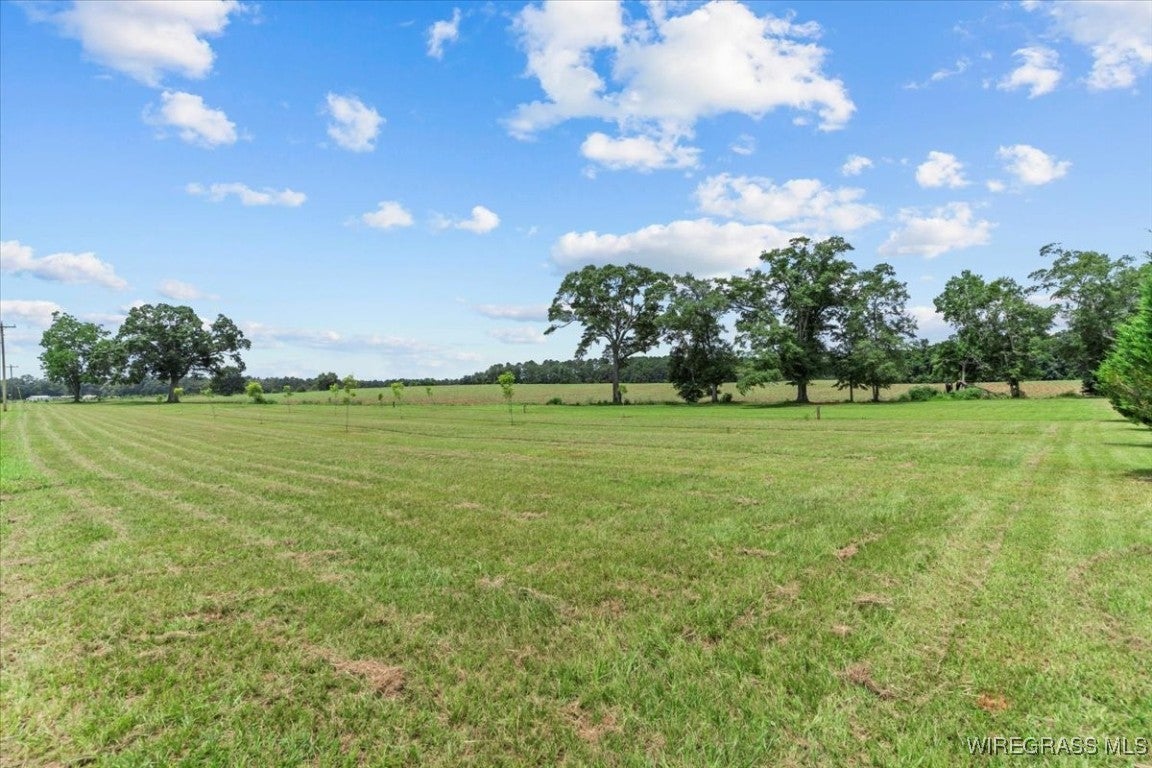 29987 Straughn School Road Andalusia, AL 36421 - Photo 38 of 47 Gallery Image 38