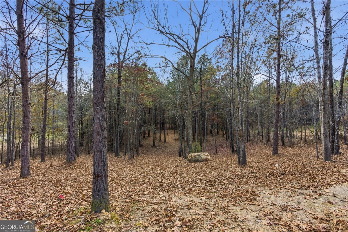 1111 Old Collard Valley Road Aragon, GA 30104 - Photo 33 of 38 a view of a forest filled with trees
