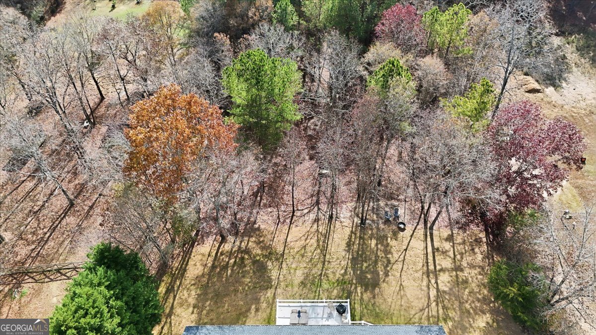 1111 Old Collard Valley Road Aragon, GA 30104 - Photo 36 of 38 a picture of trees