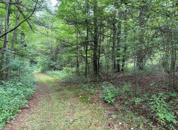 $179,900 | 0 Browntown Road, Lindley, NY 14858