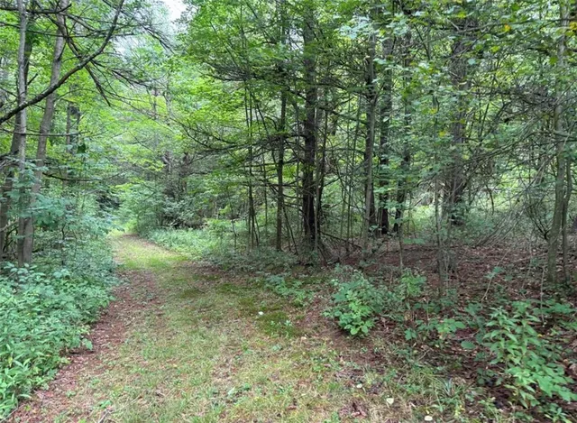 $179,900 | 0 Browntown Road, Lindley, NY 14858