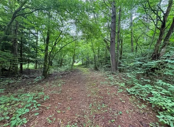 $179,900 | 0 Browntown Road, Lindley, NY 14858