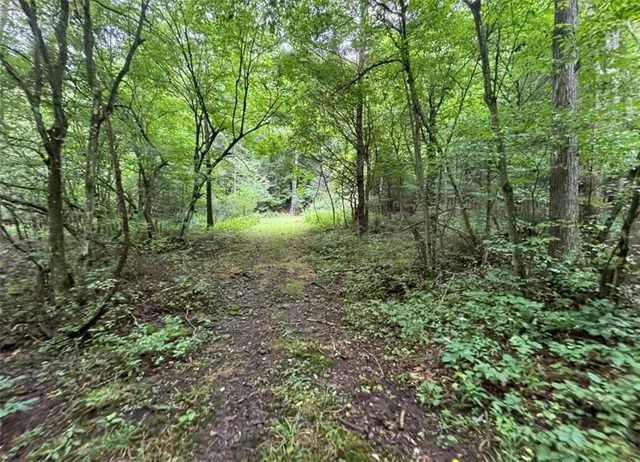 $179,900 | 0 Browntown Road, Lindley, NY 14858