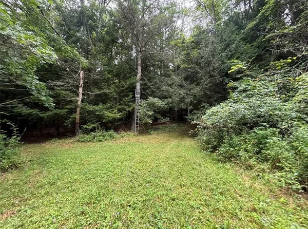 $179,900 | 0 Browntown Road, Lindley, NY 14858