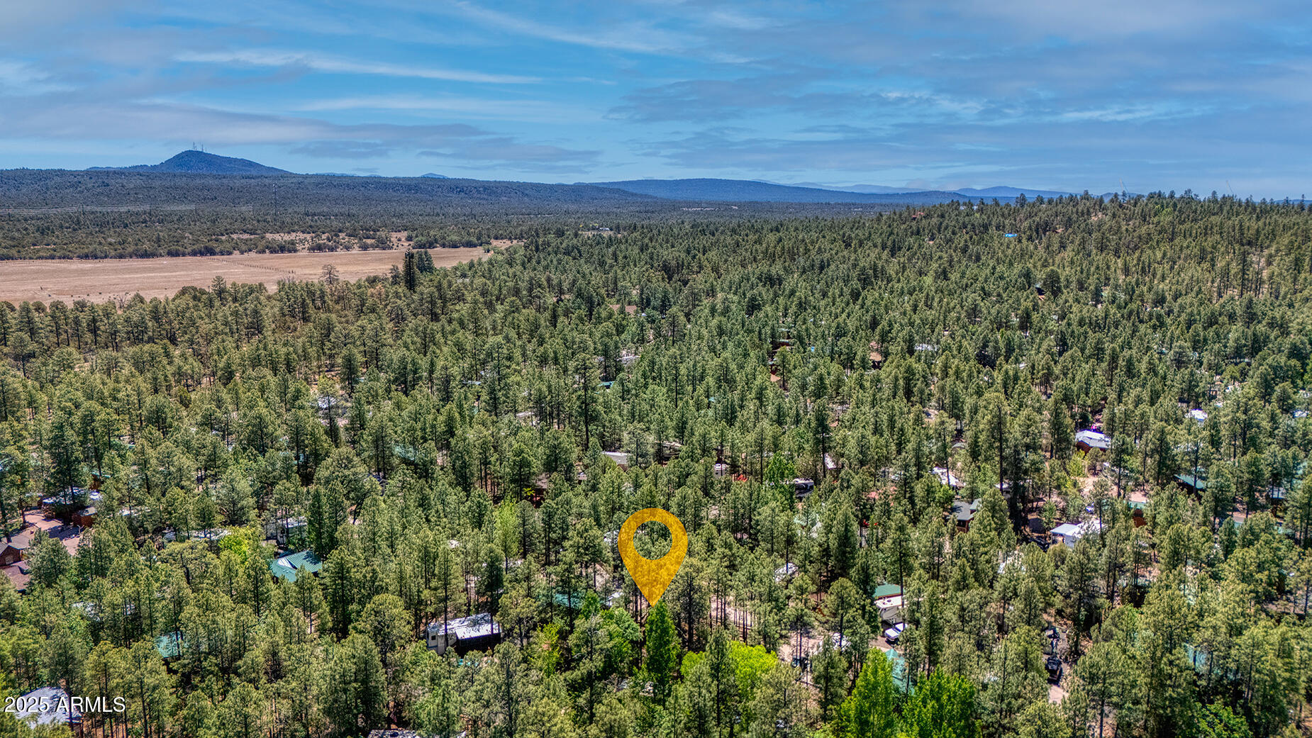 2140 Horseshoe Loop Show Low, AZ 85901 - Photo 30 of 35 Aerial